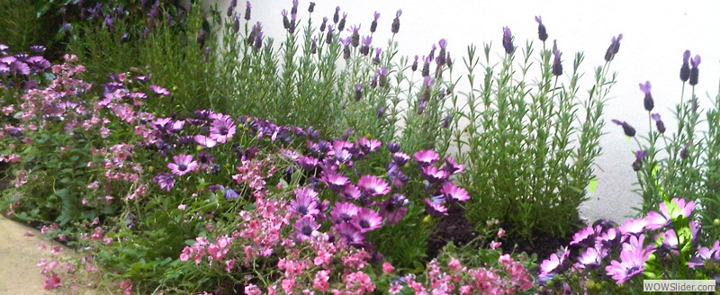 GARDEN DESIGN