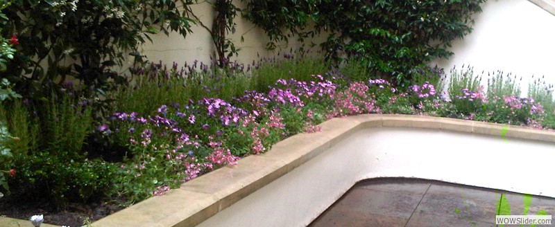 GARDEN LAYOUT