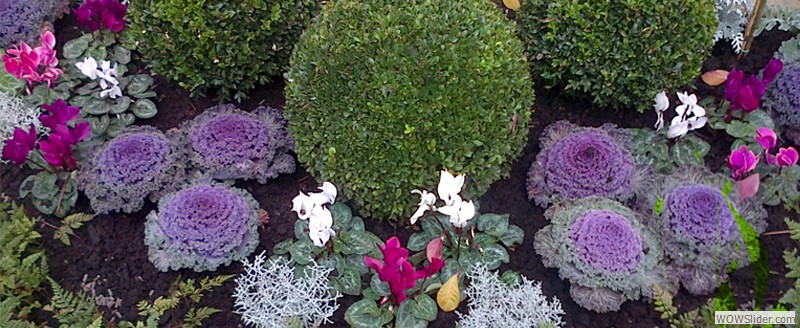 IMPACT PLANTING